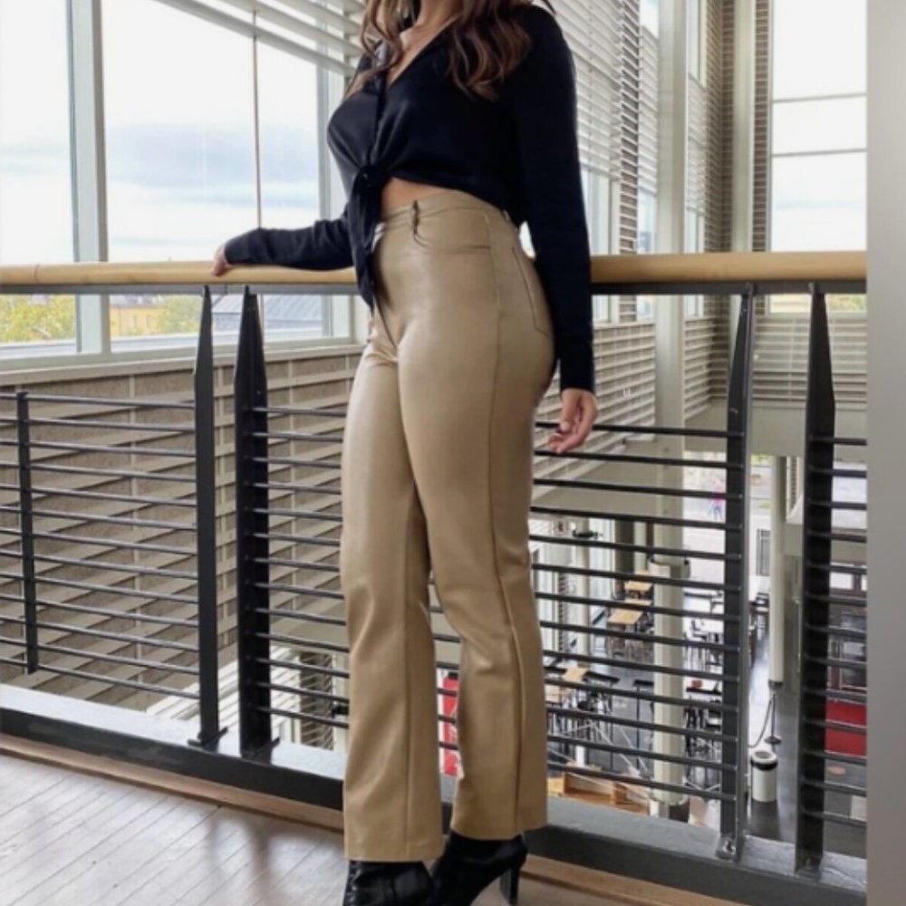 Aritzia "Melina" High Waisted Vegan Leather Pant